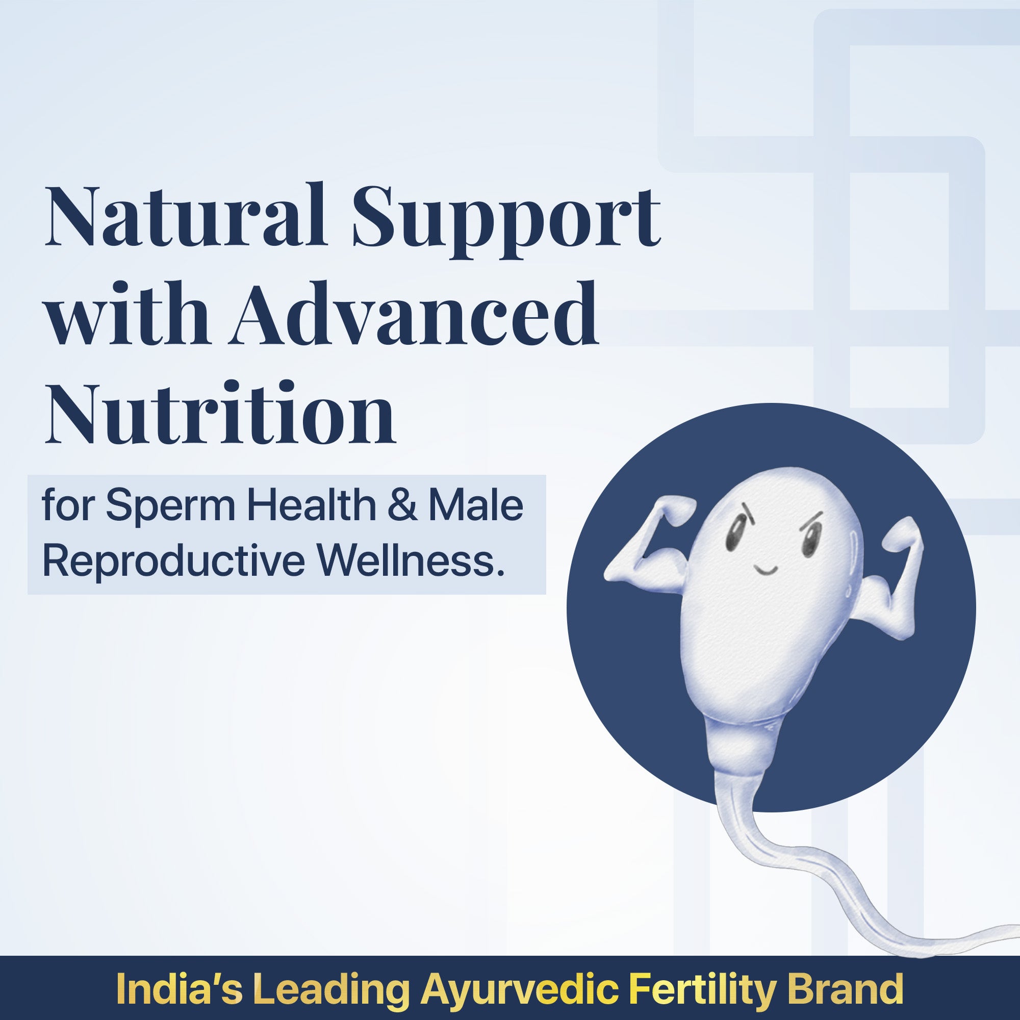 मोर्फोविटा टैबलेट