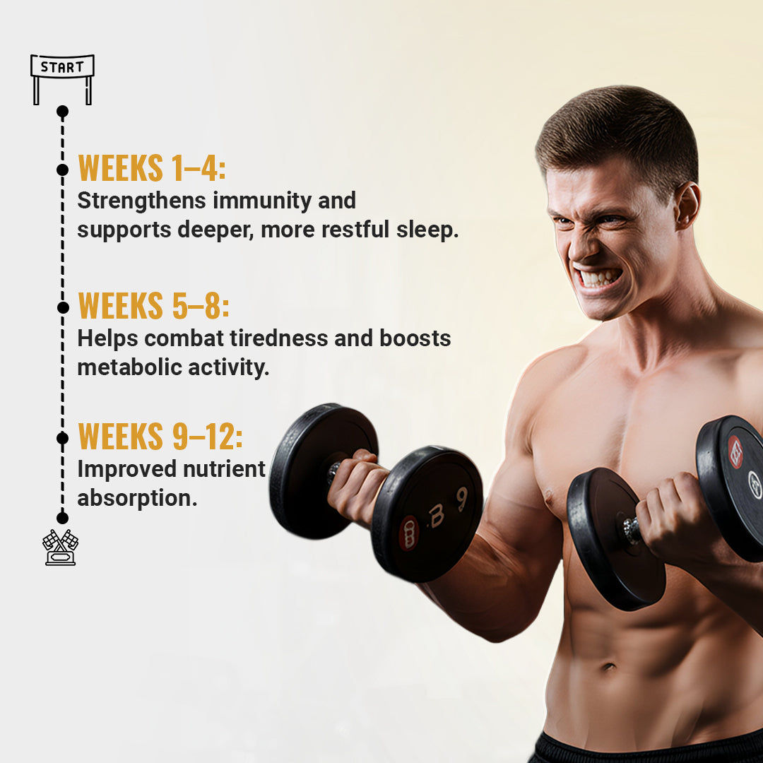 Himalayan Shilajit Resin