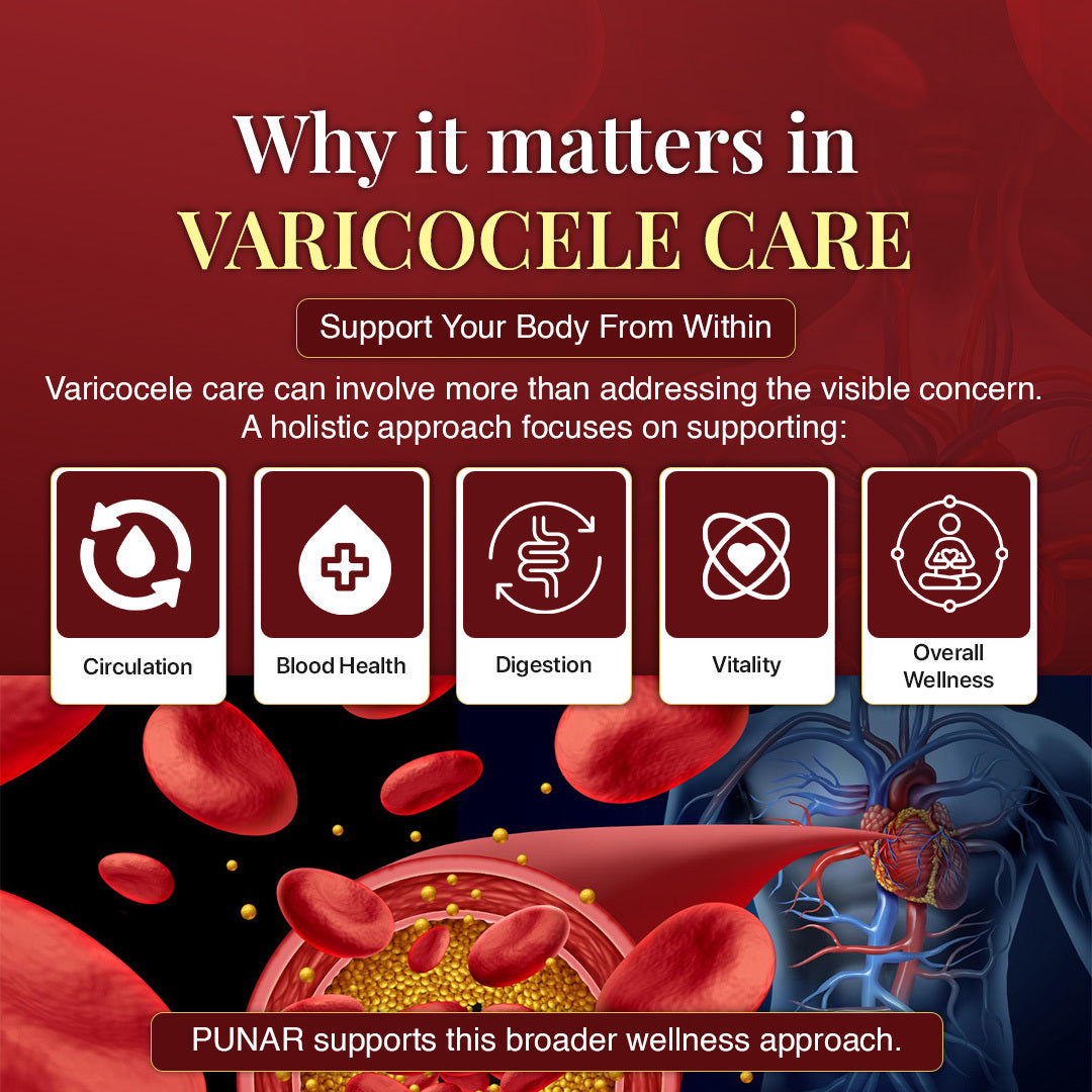 PUNAR → Blood & Vitality Support