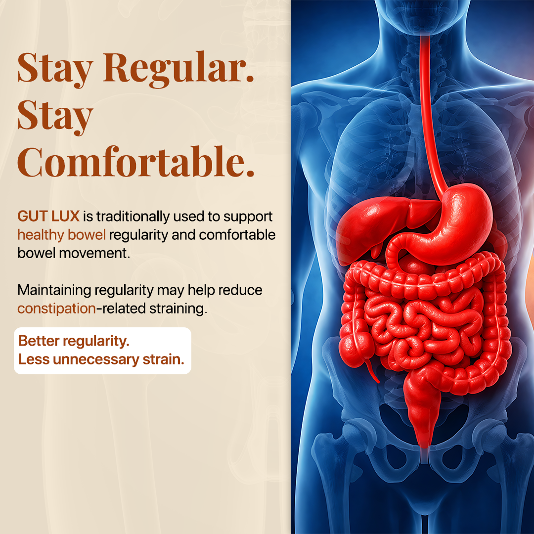 GUT LUX → Bowel Regularity Support
