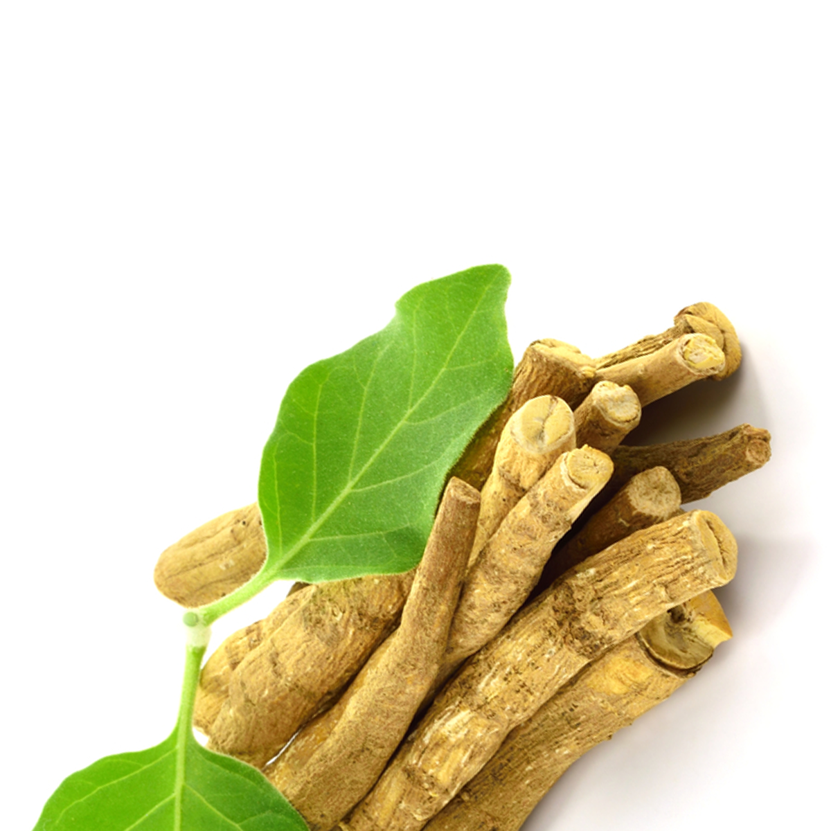 Ashwagandha Herb