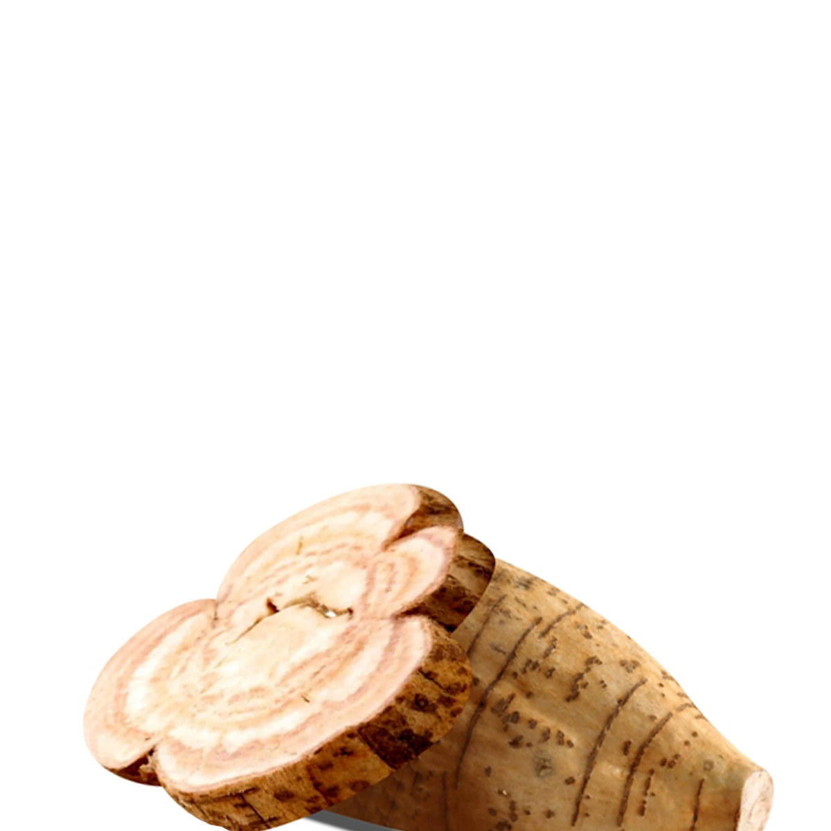Vidarikhand is an important herb known for treating male infertility.