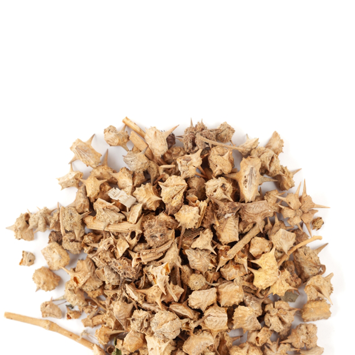 Gokhru Herb