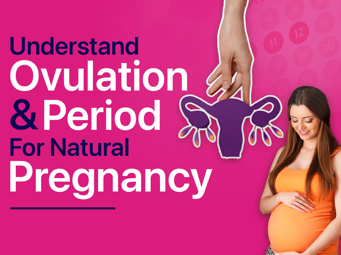 ovulation starts when after period
