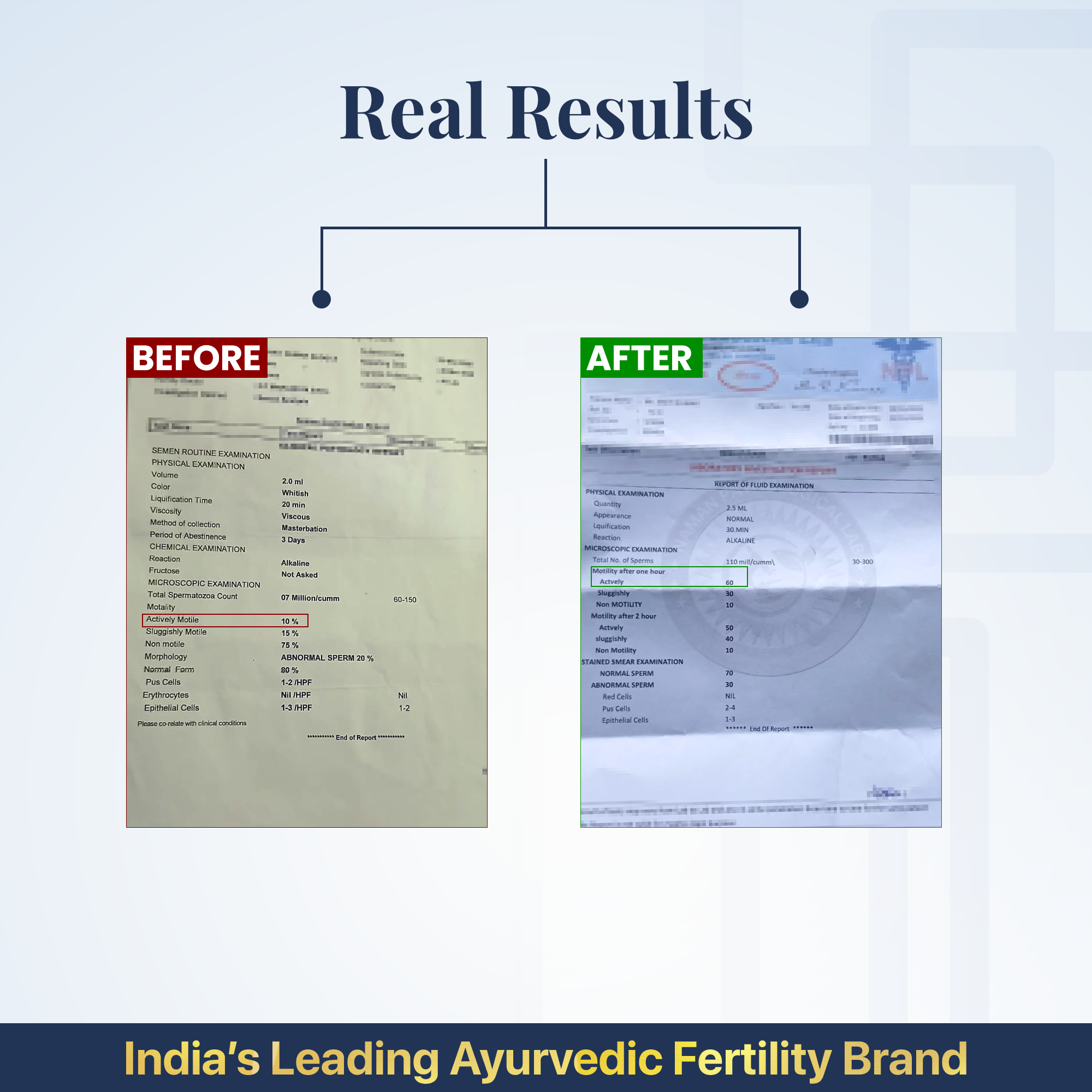 मोर्फोविटा टैबलेट