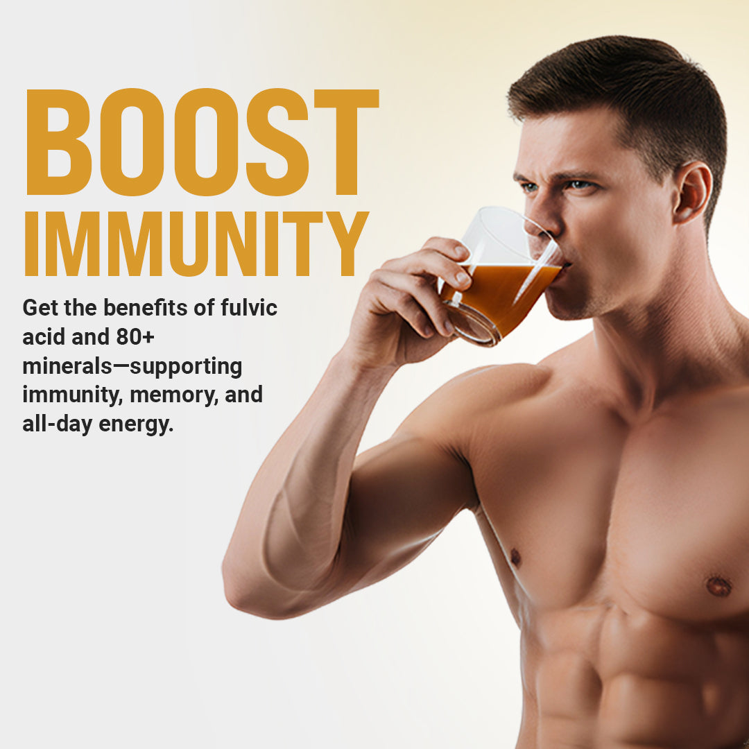 Himalayan Shilajit Resin