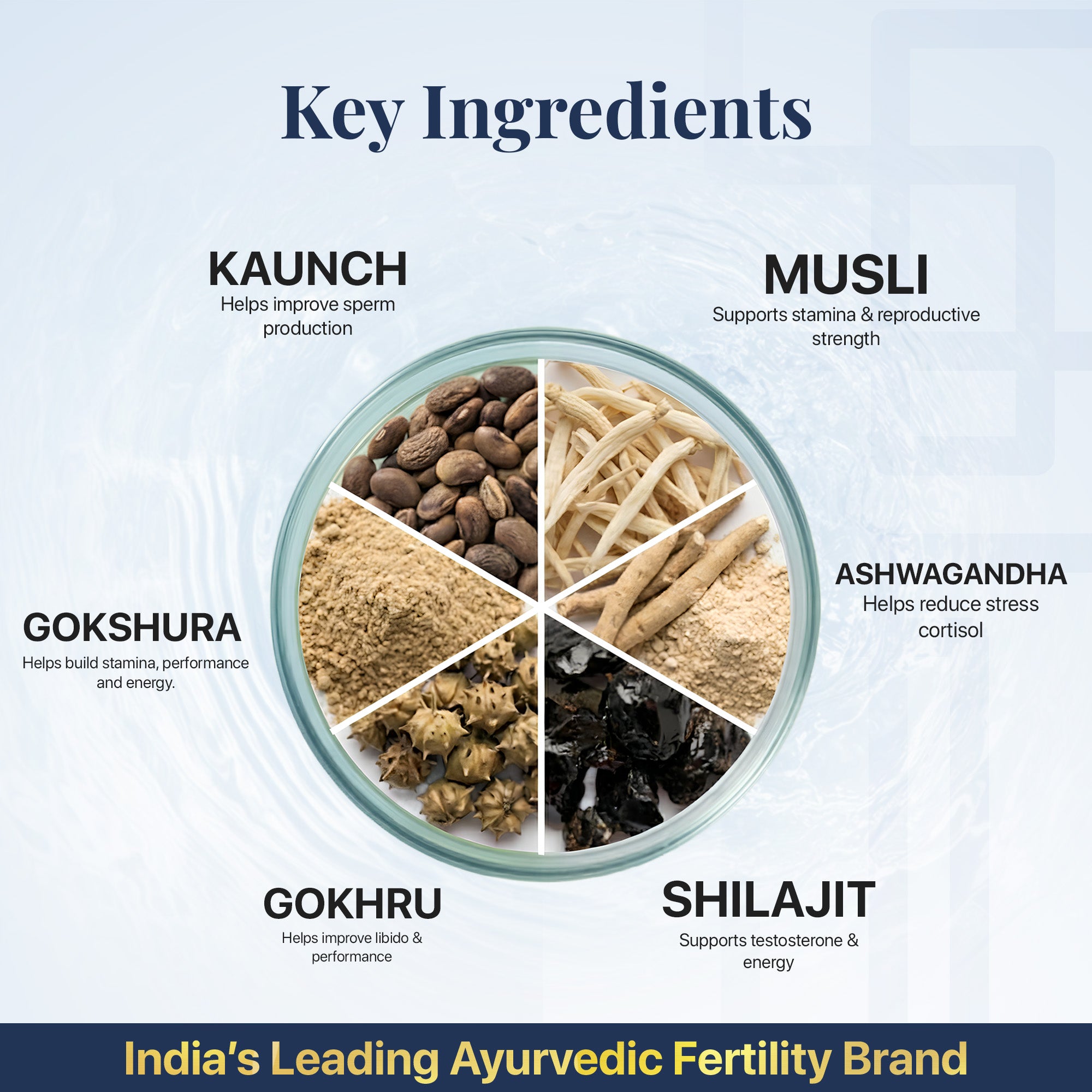 विटालक्स (पुरुषों की प्रजनन क्षमता बढ़ाने वाली गोलियाँ)