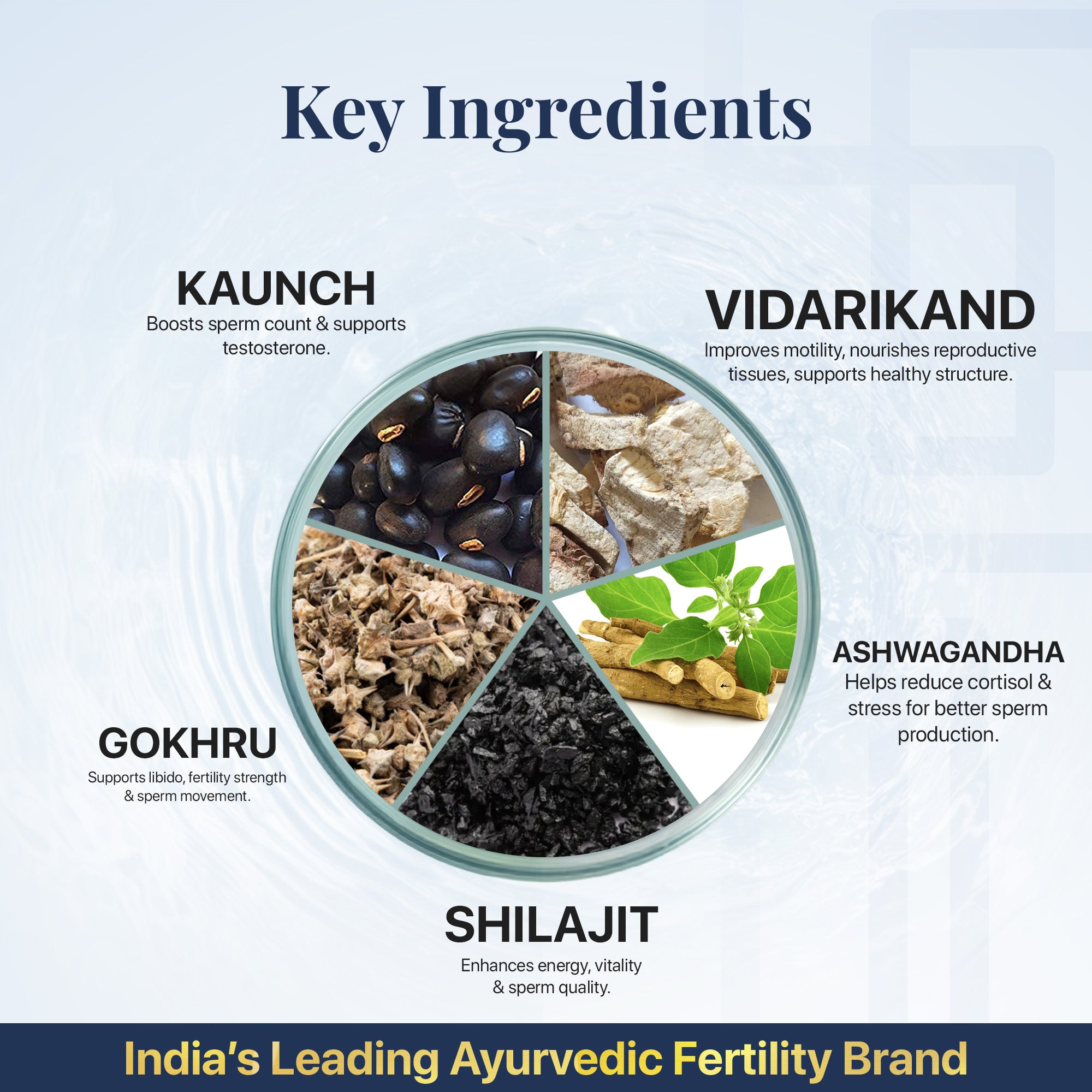 मोर्फोविटा टैबलेट