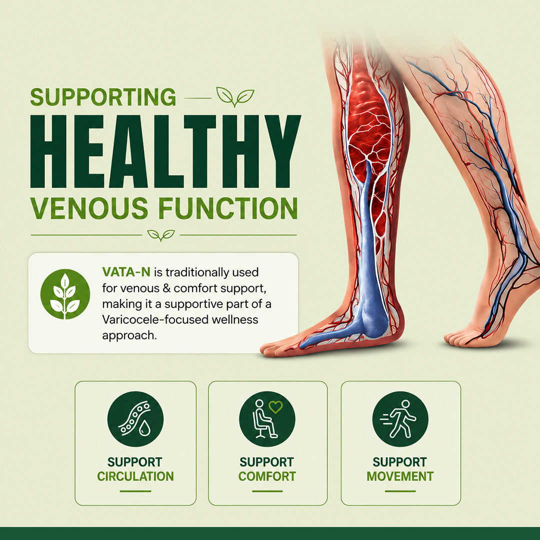 VATA-N → Comfort Support