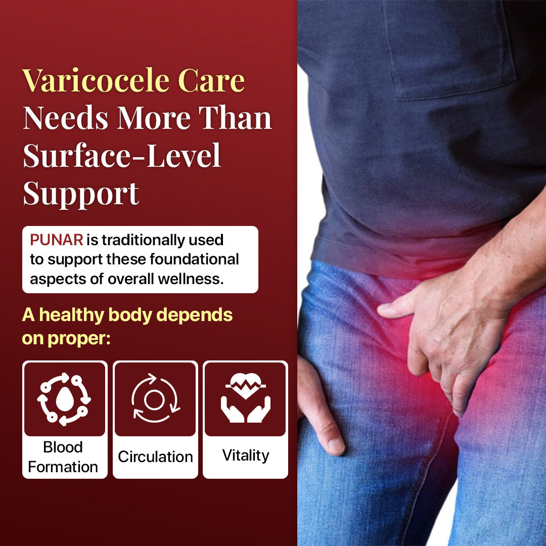 PUNAR → Blood & Vitality Support