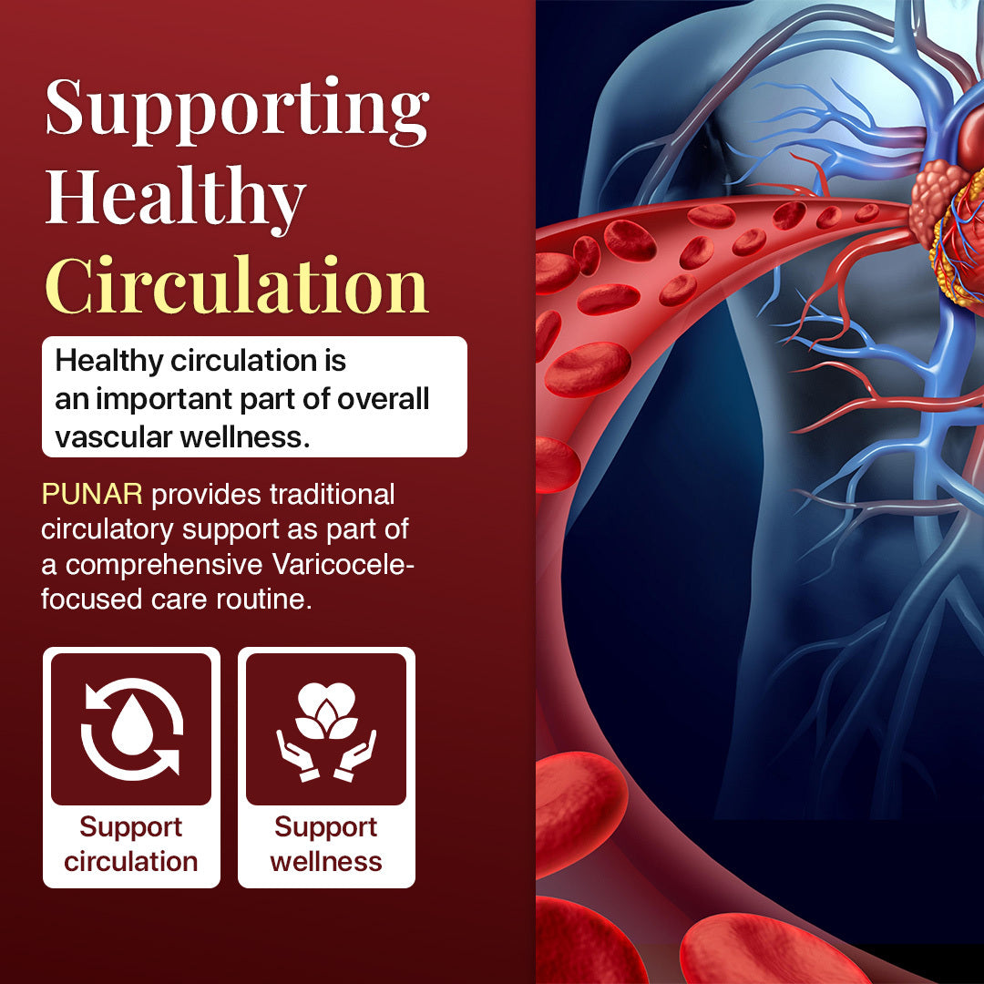 PUNAR → Blood & Vitality Support