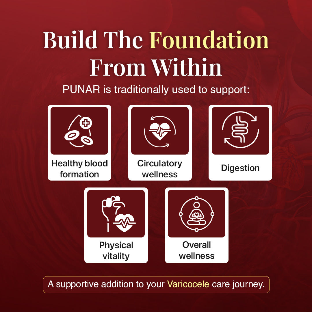 PUNAR → Blood & Vitality Support